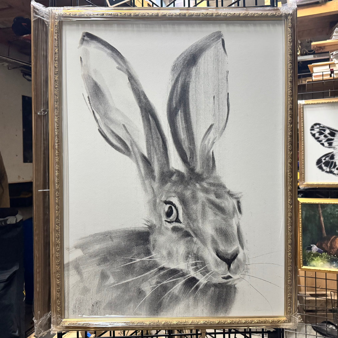 The Wayfinder | Charcoal Rabbit Drawing | 24x32" reproduction framed