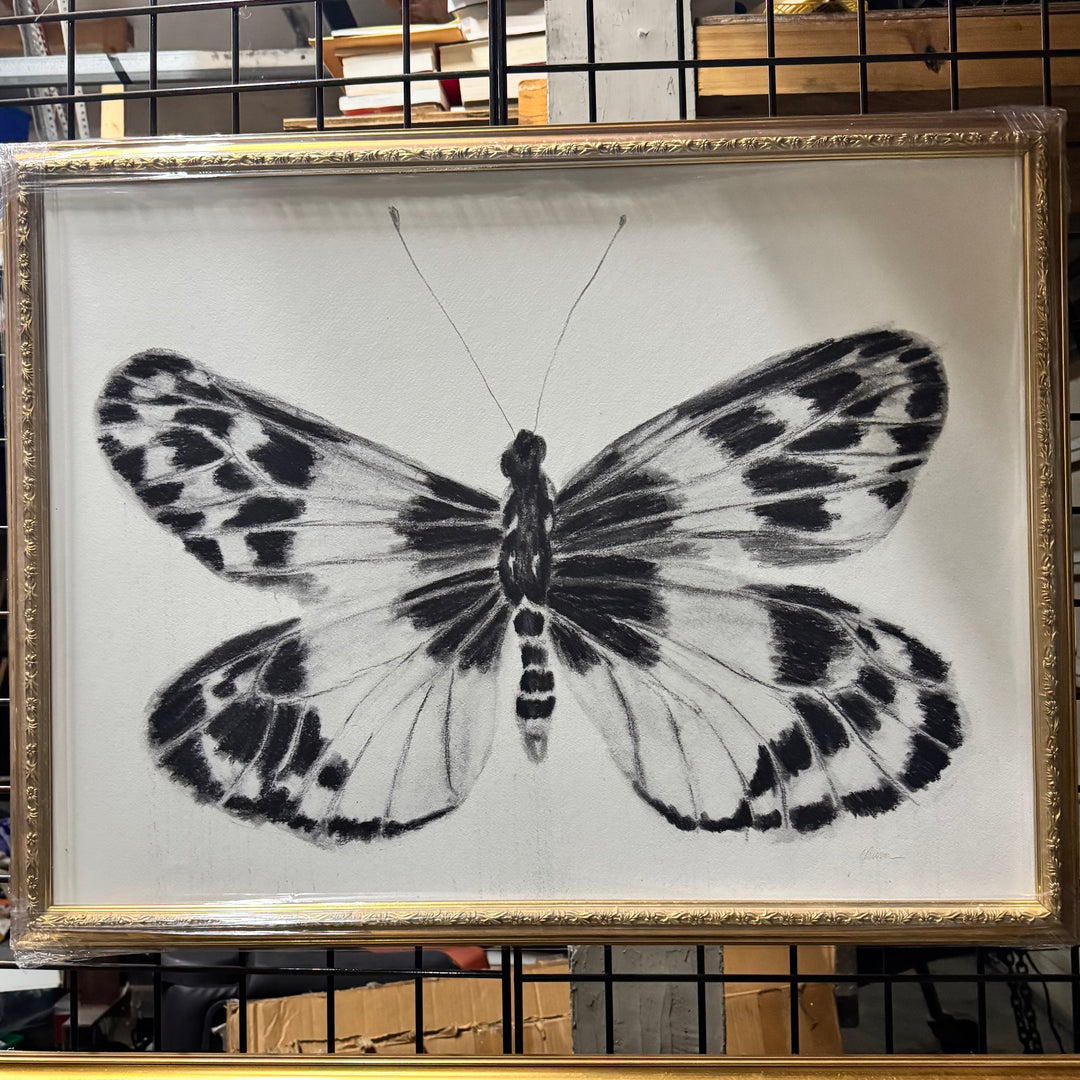 Triumphant Emergence | Charcoal Butterfly Drawing | 24x32" framed reproduction
