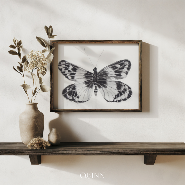 Triumphant Emergence | Charcoal Butterfly Limited Edition Signed Fine Art Print
