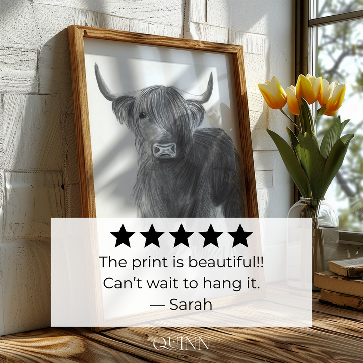 Let's Play | Charcoal Highland Cow Limited Edition Signed Fine Art Print