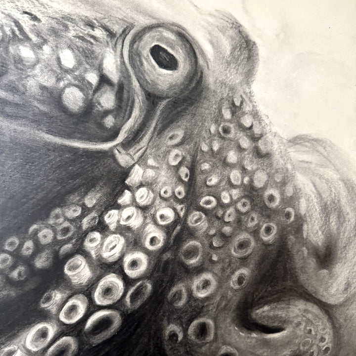Indomitable Spirit | Original Charcoal Octopus Drawing | 18x24" Framed