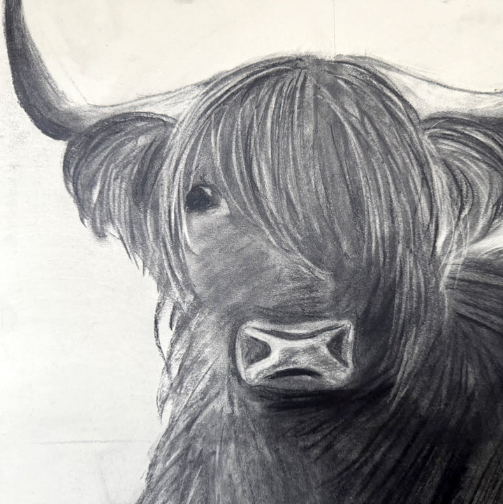 Let's Play | Original Charcoal Highland Horse Drawing | 18x24" Framed