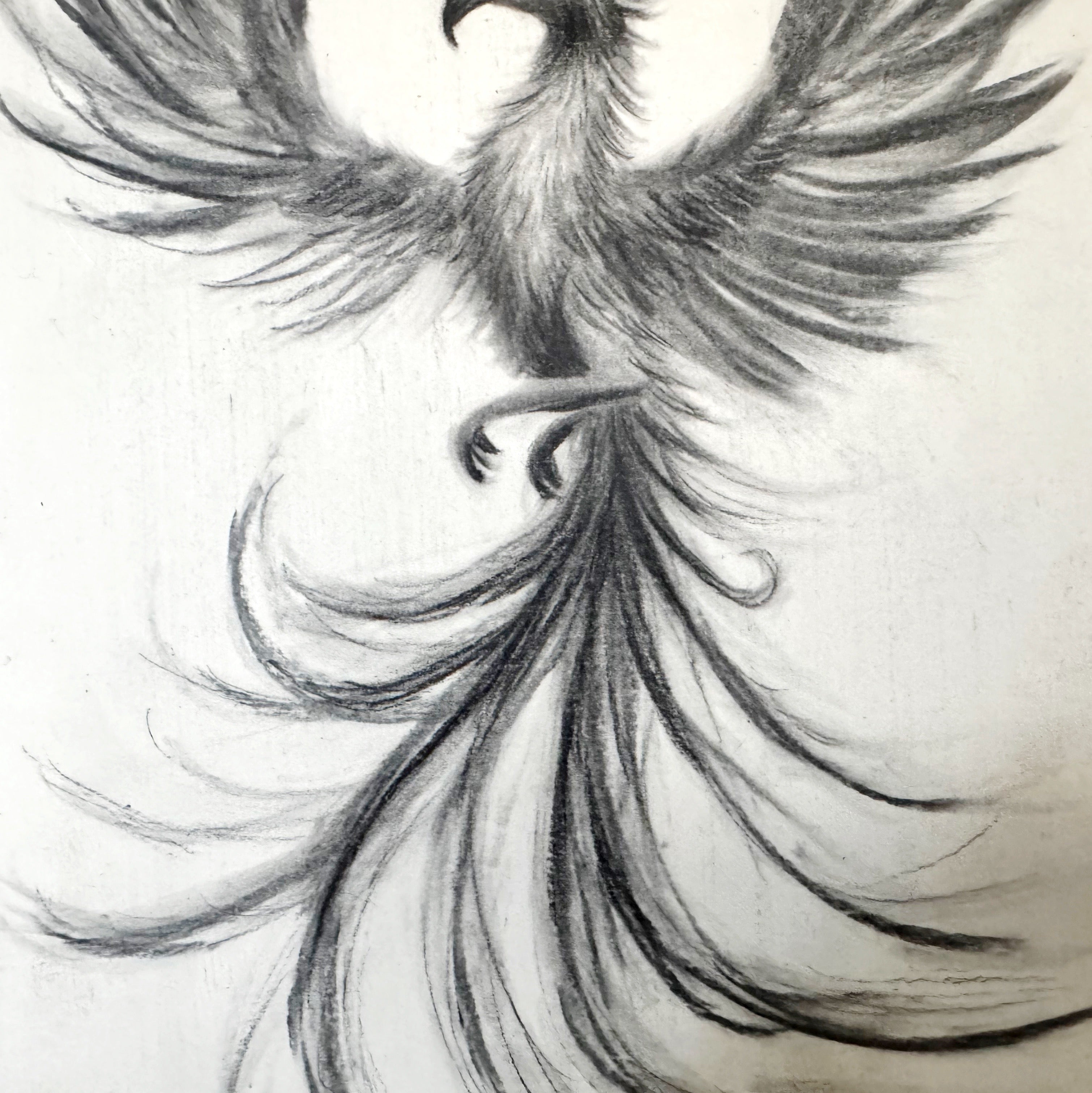 And Still I Rise | Original Charcoal Phoenix Bird Drawing | 8x11