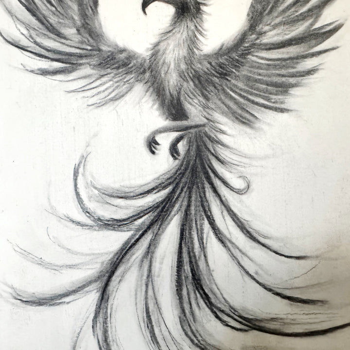 And Still I Rise | Original Charcoal Phoenix Bird Drawing | 8x11" framed