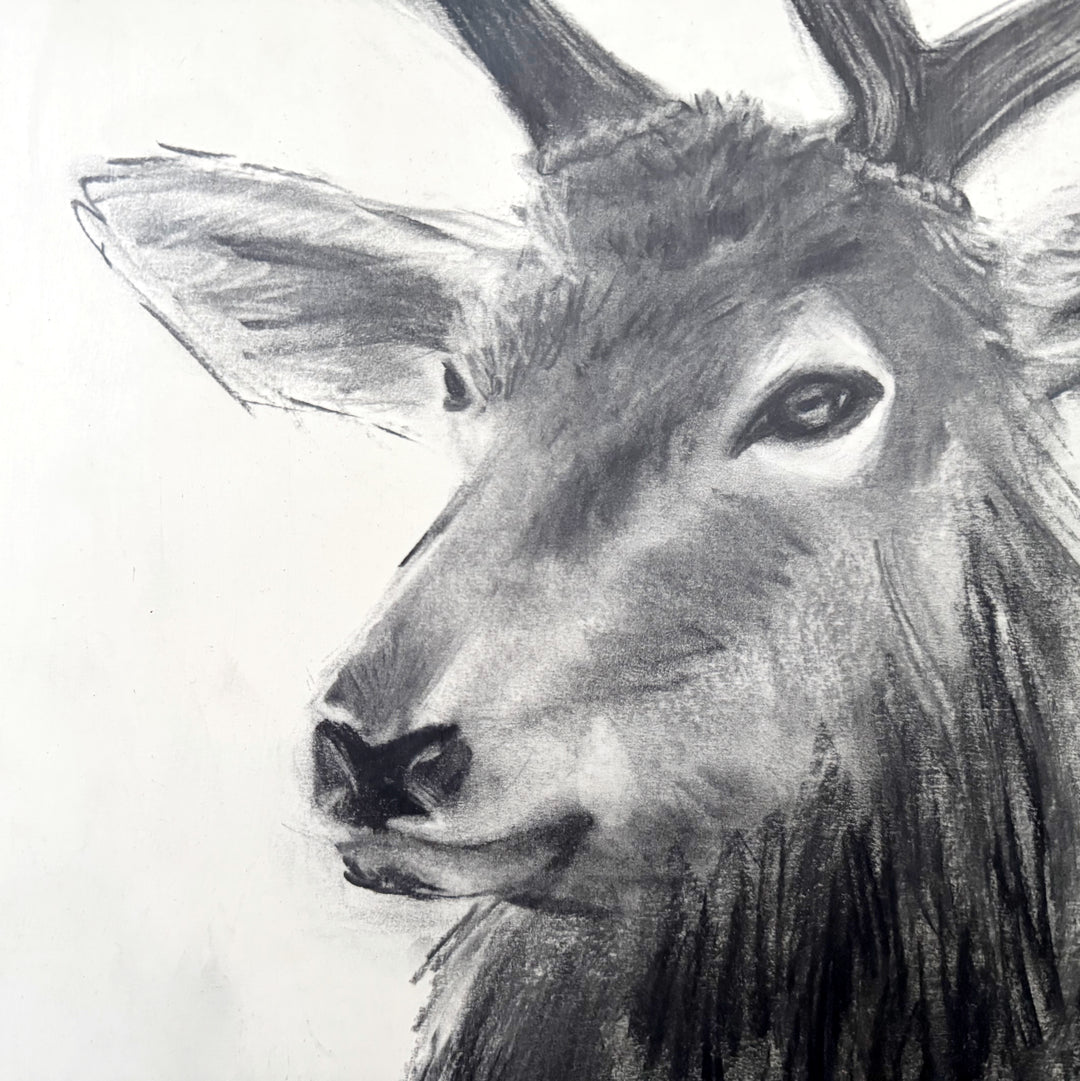Guide Me Home | Original Charcoal Stag Drawing | 18x24" Framed