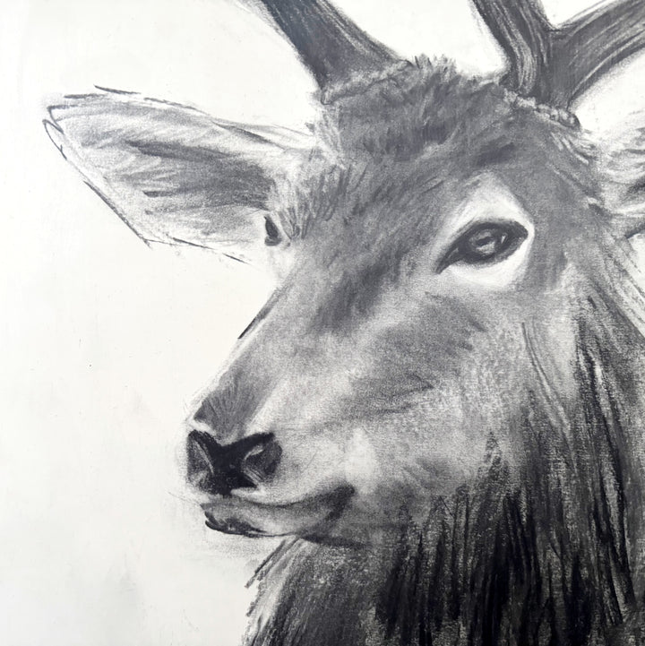 Guide Me Home | Original Charcoal Stag Drawing | 18x24" Framed