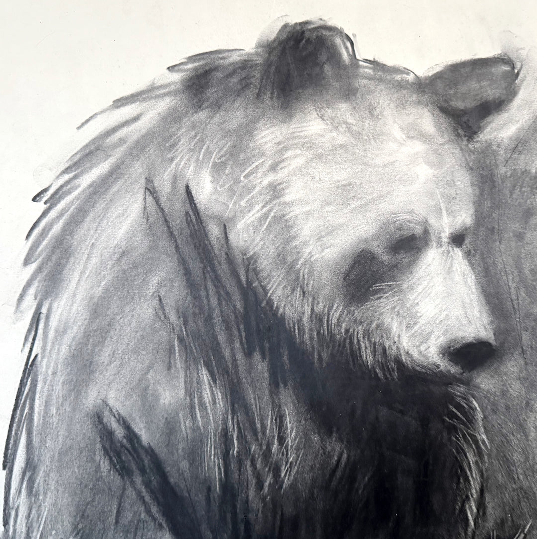 You are Loved | Original Charcoal Bear Drawing | 18x24" Framed