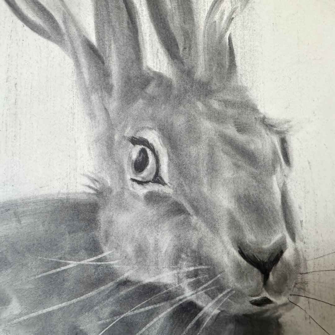 The Wayfinder | Original Charcal Rabbit Drawing | 8x11" framed