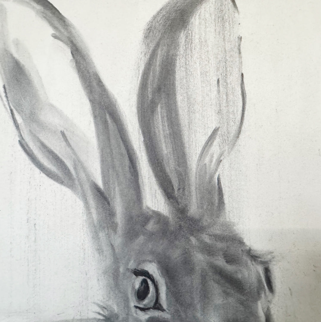 The Wayfinder | Original Charcal Rabbit Drawing | 8x11" framed
