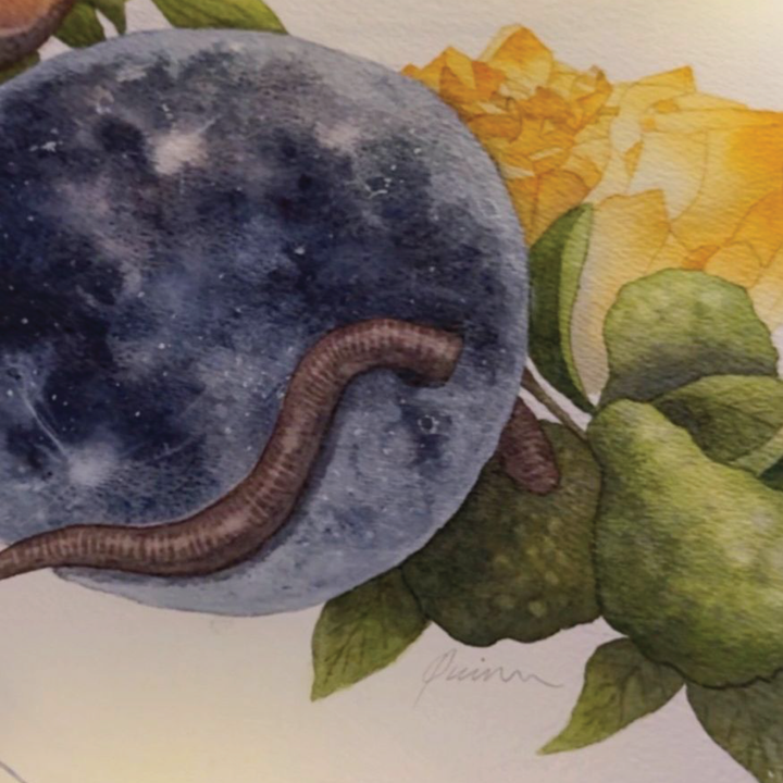 Full Worm Moon in Virgo | Original Watercolor Painting 11x14" Unframed